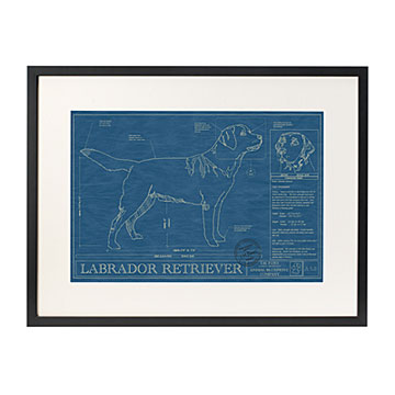Dog Blueprints