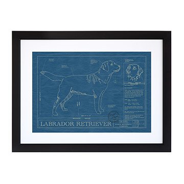 Large Dog Blueprints