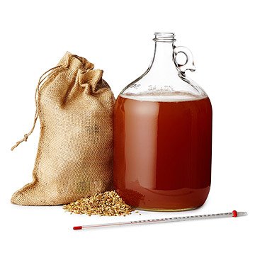Belgian Golden Ale Beer Brewing Kit