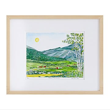 Birches of New England