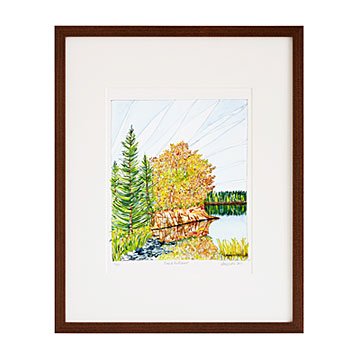 Pines of the Midwest