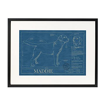 Personalized Dog Blueprints
