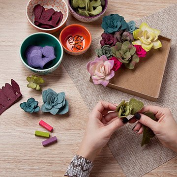Felt Succulents Kit