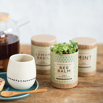 Self-Watering Herbal Tea Kit