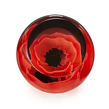 Poppy Paperweight