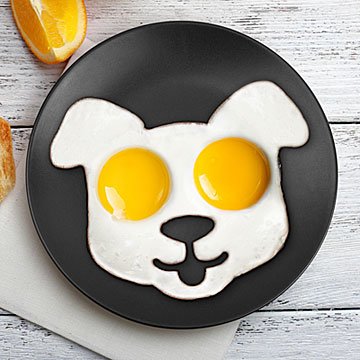 Dog Egg Mold