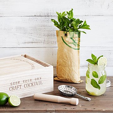 Grow & Craft Mint Mojito Kit