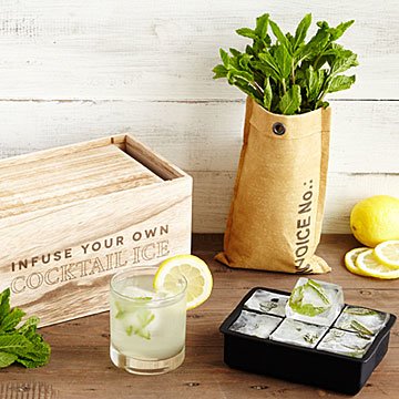Grow & Infuse Cocktail Ice Kit