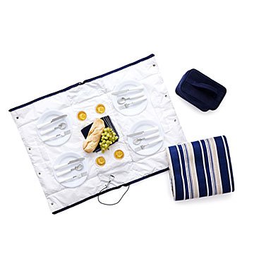 28 Piece Convertible Picnic Tote