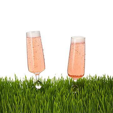 Outdoor Champagne Glasses - Set of 2