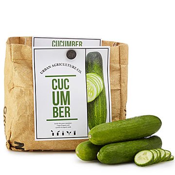 Cucumber Grow Kit