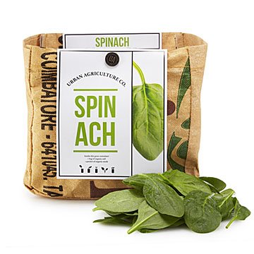 Spinach Grow Kit