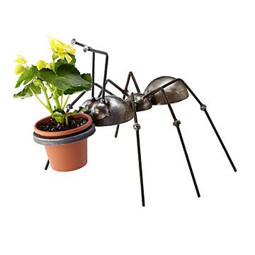 Recycled Metal Plant Ant