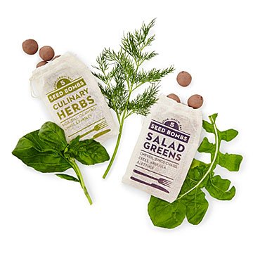 Herbs & Greens Seed Bombs