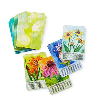 Plant Spirit Meditation Deck
