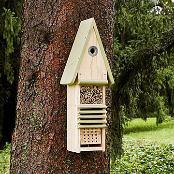 Bird, Bee & Bug Hotel