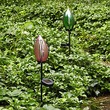 Solar Tulip Stake